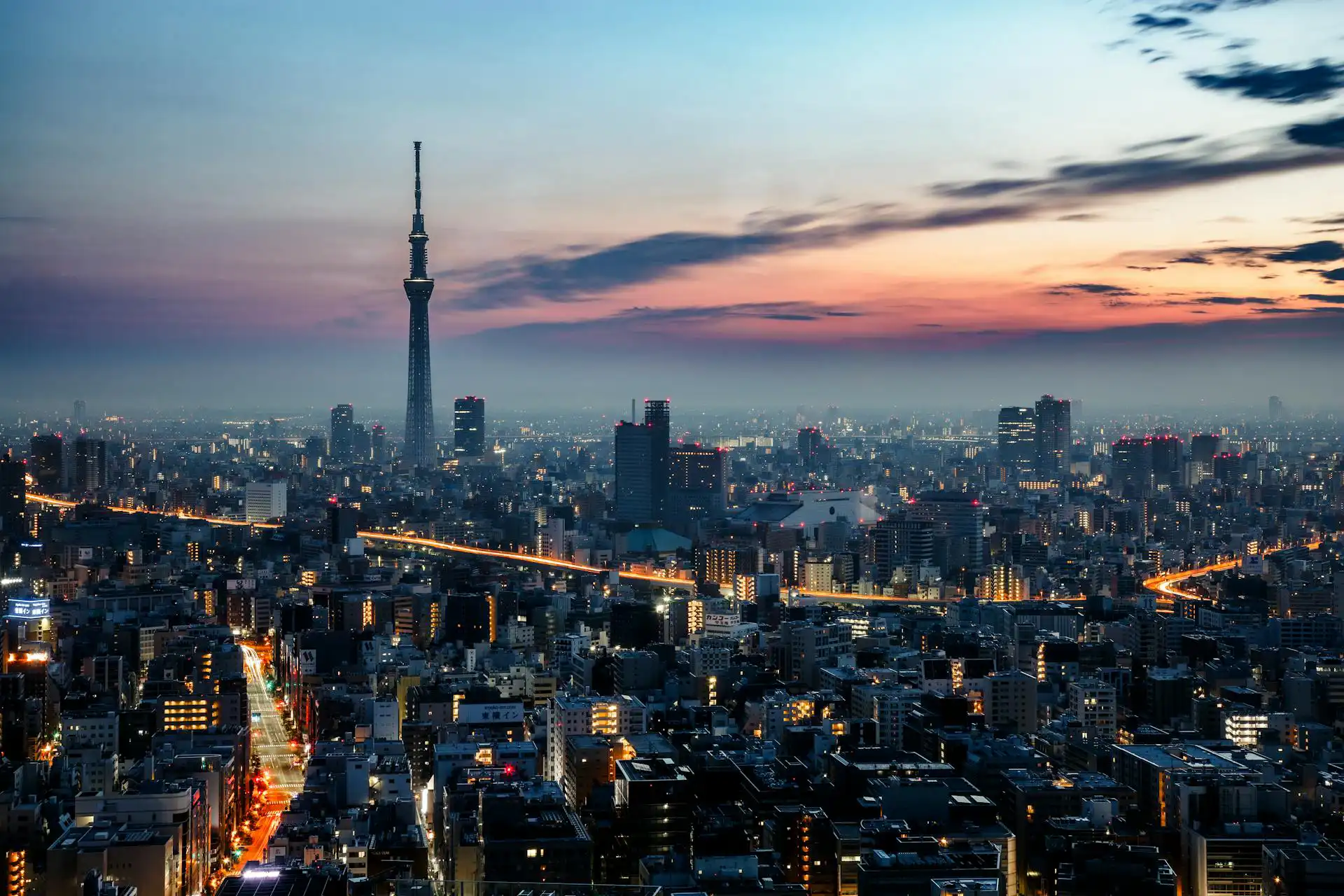 Unique Things to Do in Tokyo