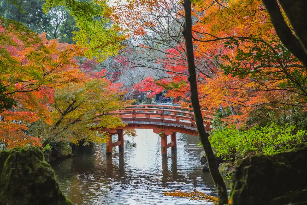 Autumn in japan