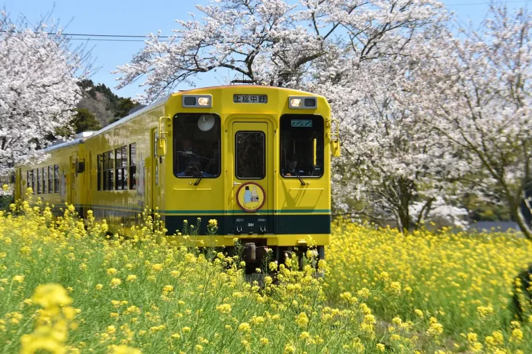 When is the Best Time to Visit Japan