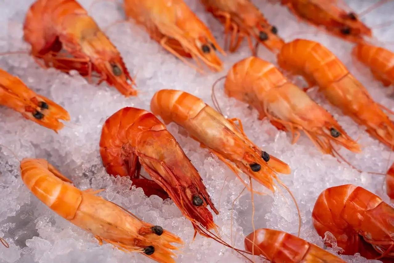 Shrimp Sashimi vs. Cooked Shrimp