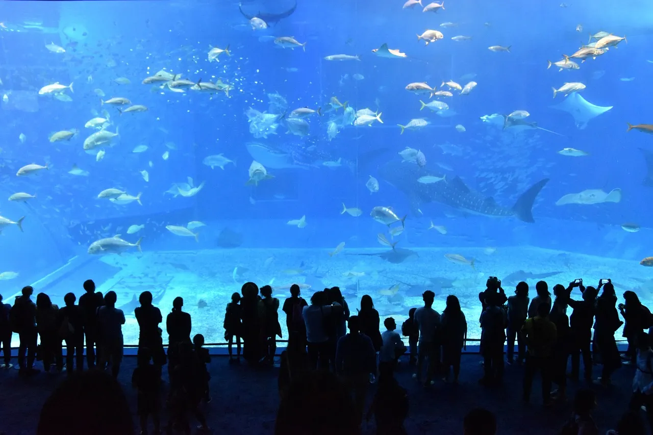 Sunshine Aquarium