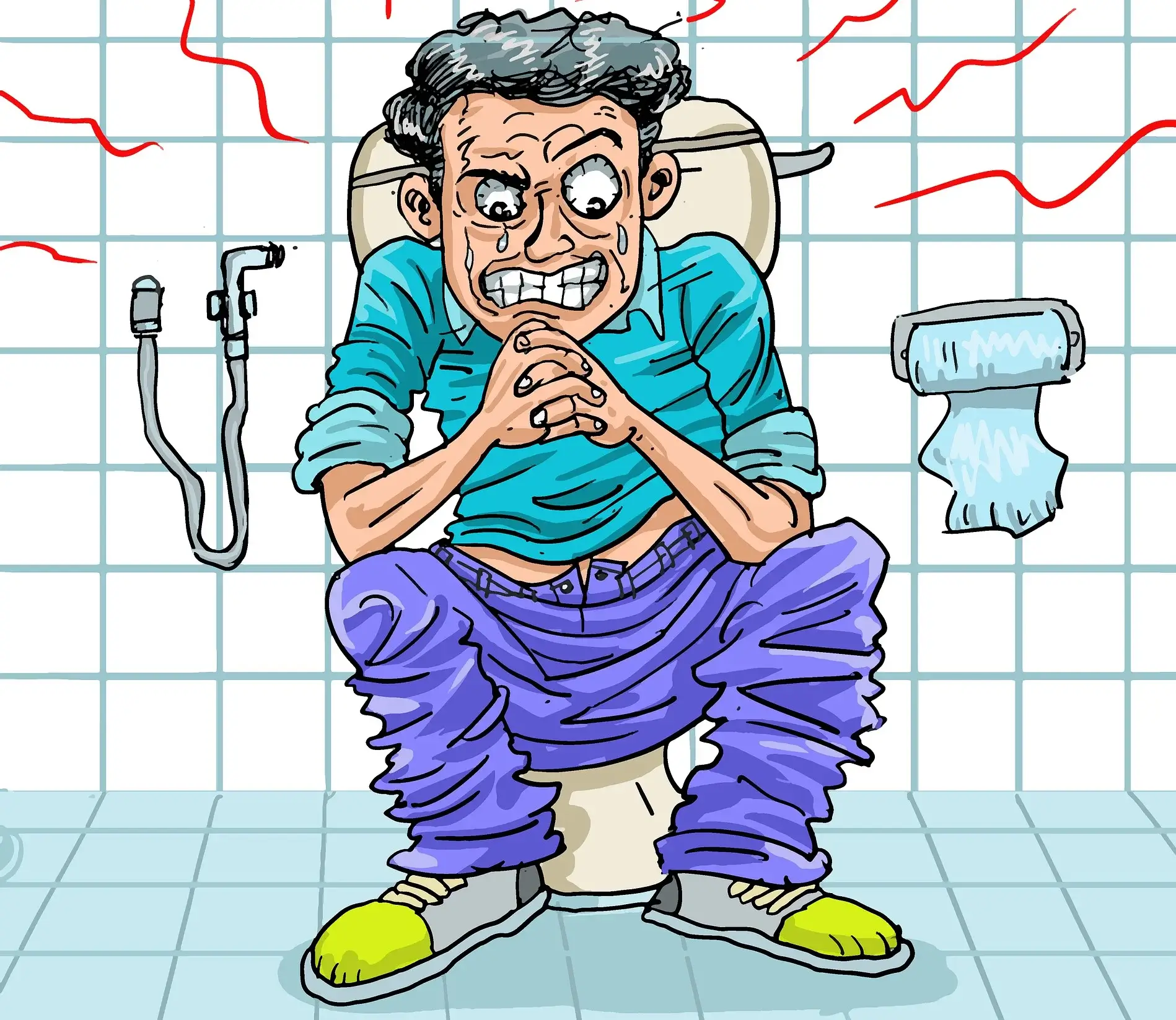 Why You Might Get Constipated in Japan